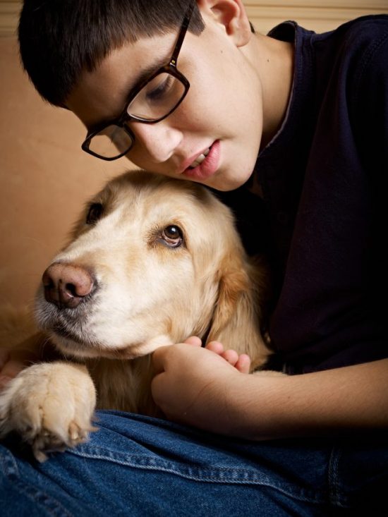 Stories of Service Animals- ADA Law for Service Animals