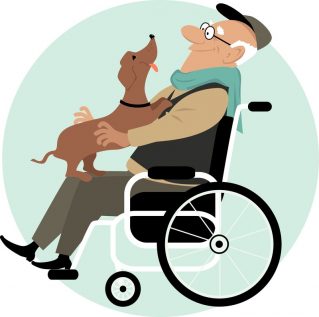 Therapy Dogs- ADA Law-The Training Video